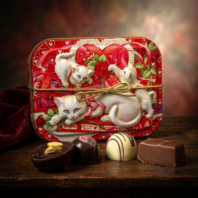 Cat Collector Tin