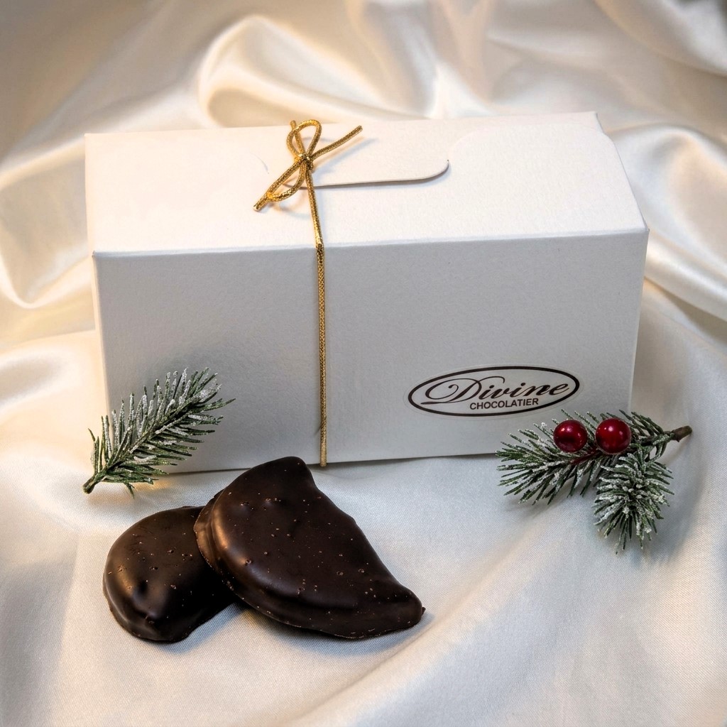 Chocolate Covered Orange Slices